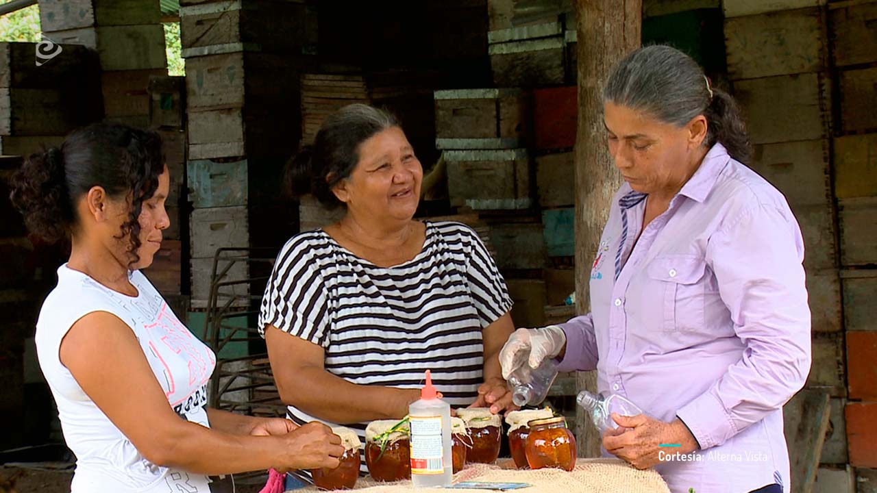 Sara, Neyda, Tomasa y las otras, documental colombiano completo en RTVCPlay