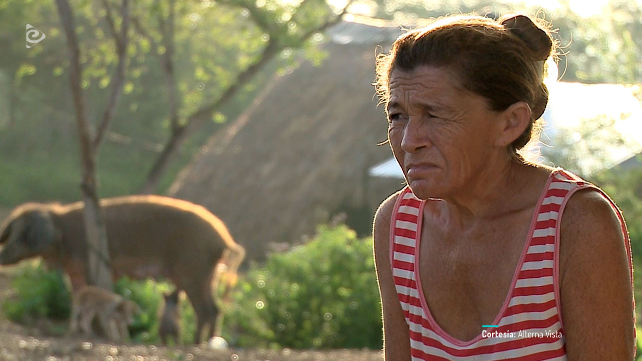 Sara, Neyda, Tomasa y las otras, documental colombiano completo en RTVCPlay