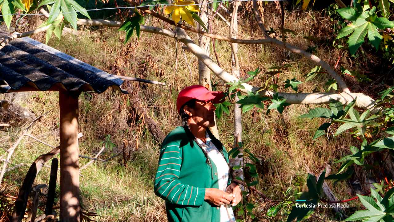 Señorita María, la falda de la montaña, documental colombiano completo en RTVCPlay