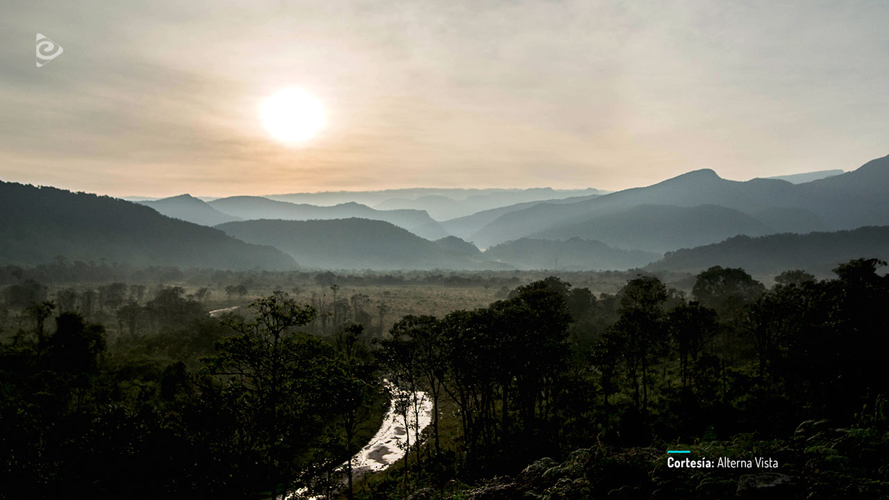 El silencio del río, película colombiana completa en RTVCPlay