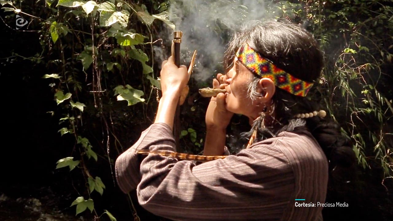 Wërapara, documental colombiano completo en RTVCPlay