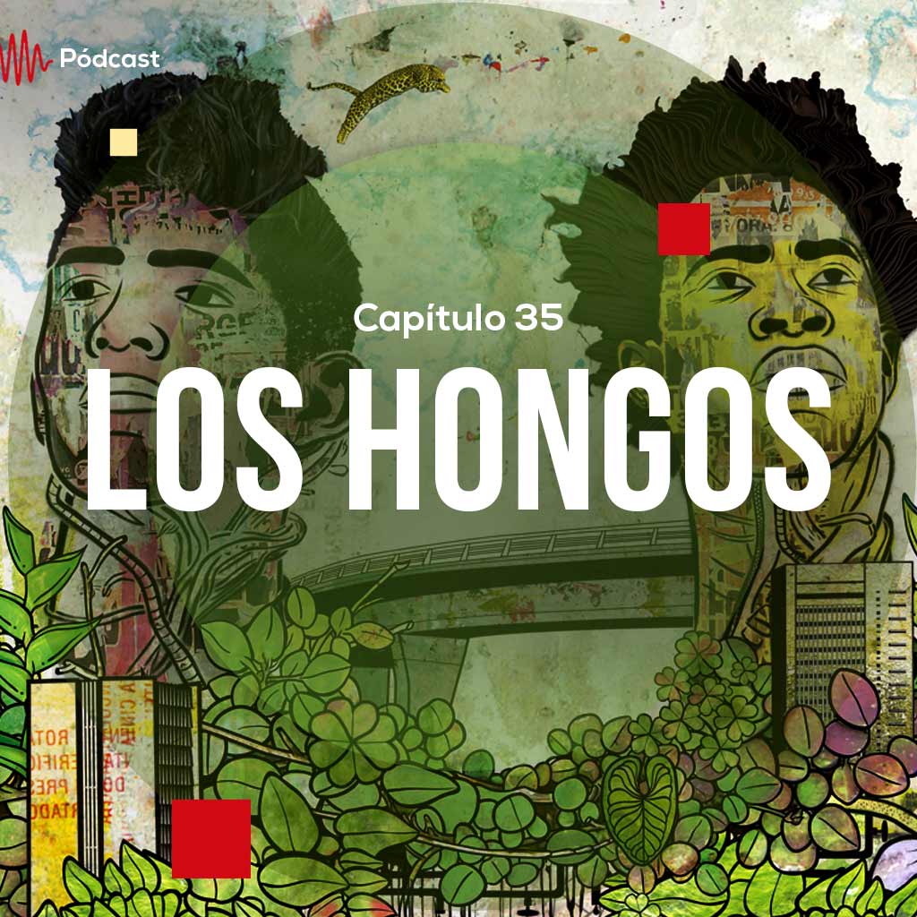 Escucha ahora el capítulo 35 de Hecho en Colombia Pódcast sobre la película Los hongos