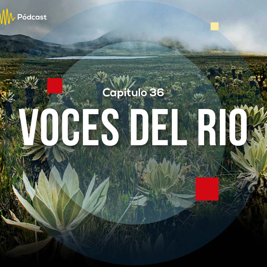 Escucha ahora el capítulo 36 de Hecho en Colombia Pódcast sobre el documental Las voces del río