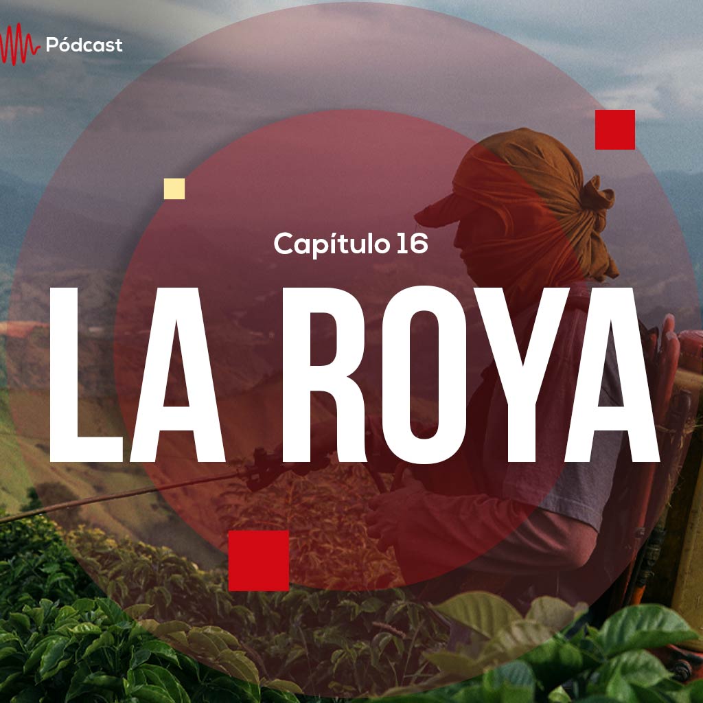 Escucha ahora el capítulo 16 de Hecho en Colombia Pódcast sobre la película La roya