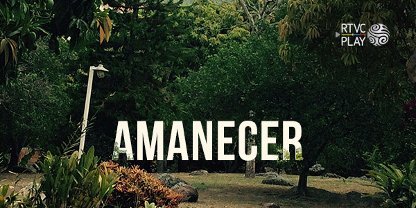 ¡Mira Amanecer, un viaje íntimo y revelador en busca de identidad y afectos perdidos por la plataforma de streaming RTVCPlay!