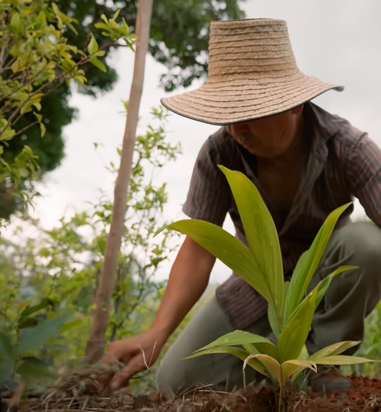 Arraigo, documental colombiano de Canal Institucional, disponible ahora en la plataforma de streaming RTVCPlay