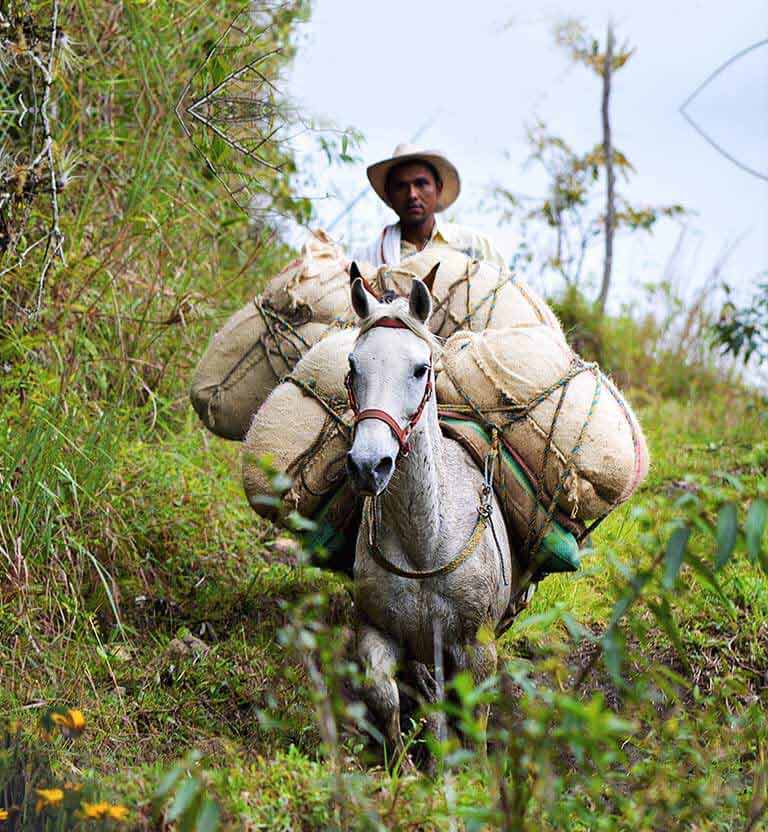 Campesino colombiano