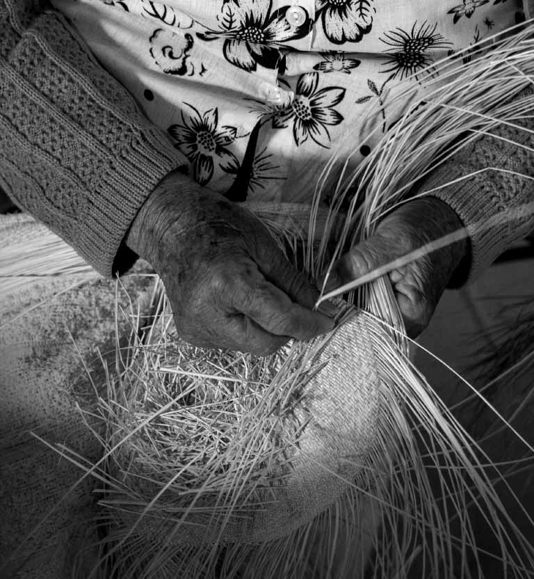 Denominación de origen, serie colombiana de Señal Colombia disponible ahora en RTVCPlay