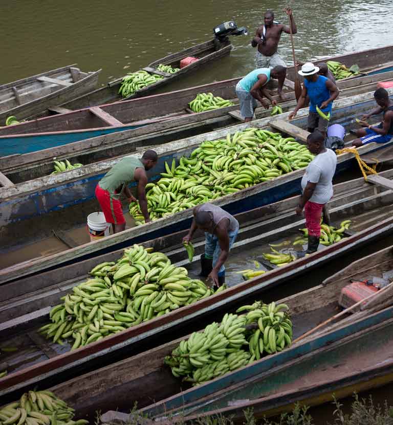grupo de hombres afrodescendientes sobre lanchas de madera con una cosecha de plátanos