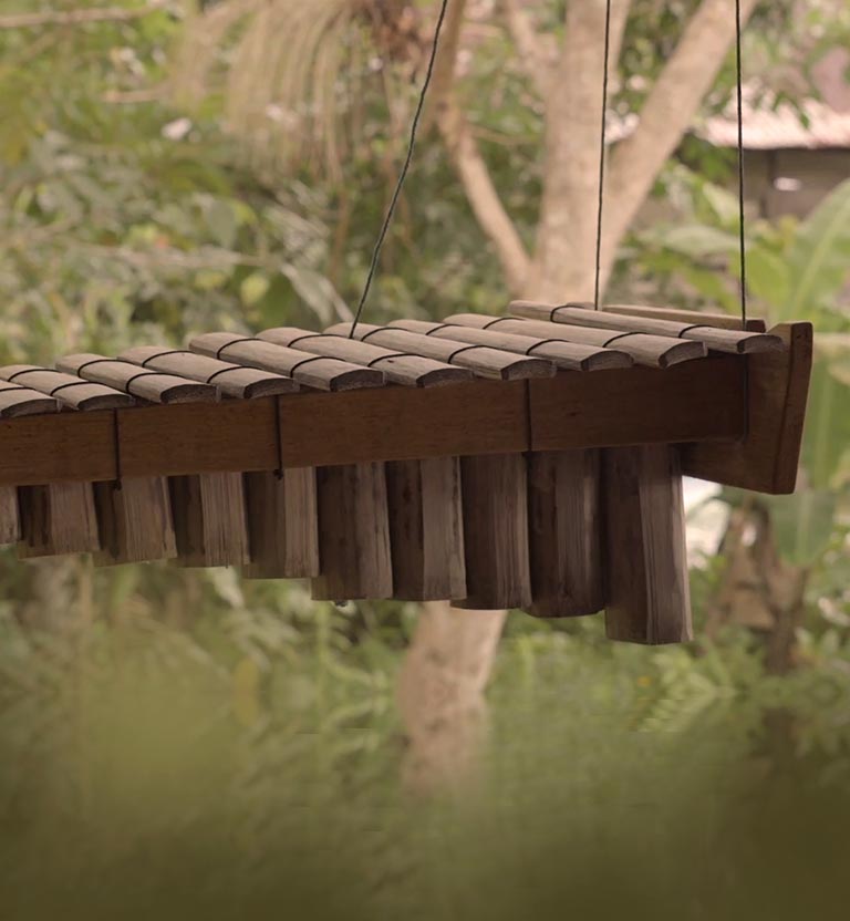 Una marimba - Expedición marimba