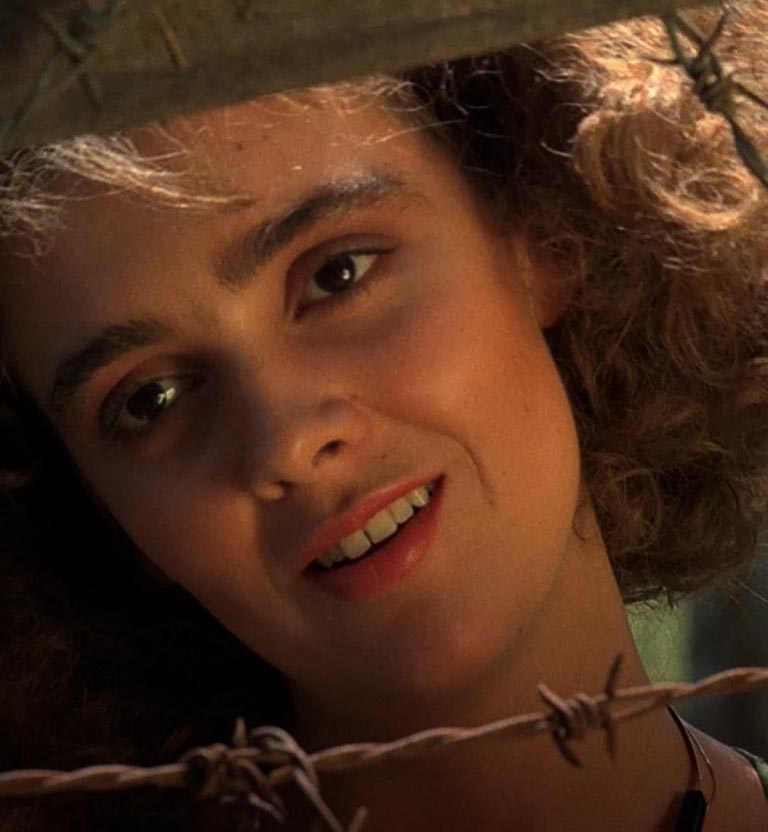 La mansión de Araucaíma