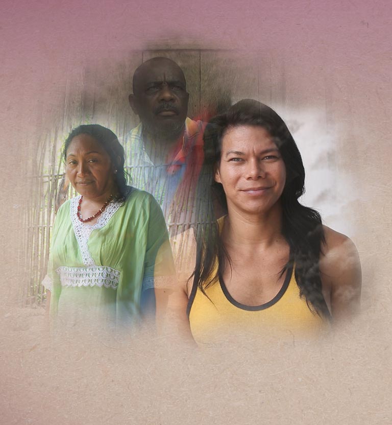 Póster Misión Defensores