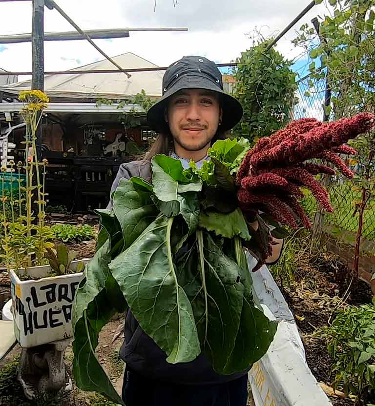Aprendizaje en el campo