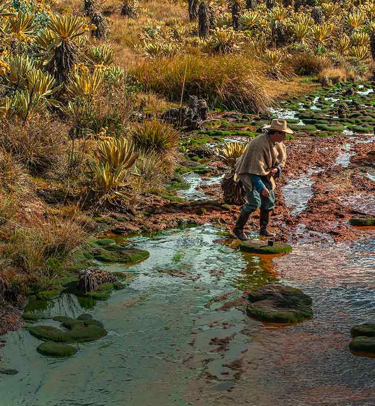 Páramos, Colombia, ecosistema, país, agua, minería, RTVCPlay, serie, paisaje, ver, gratis