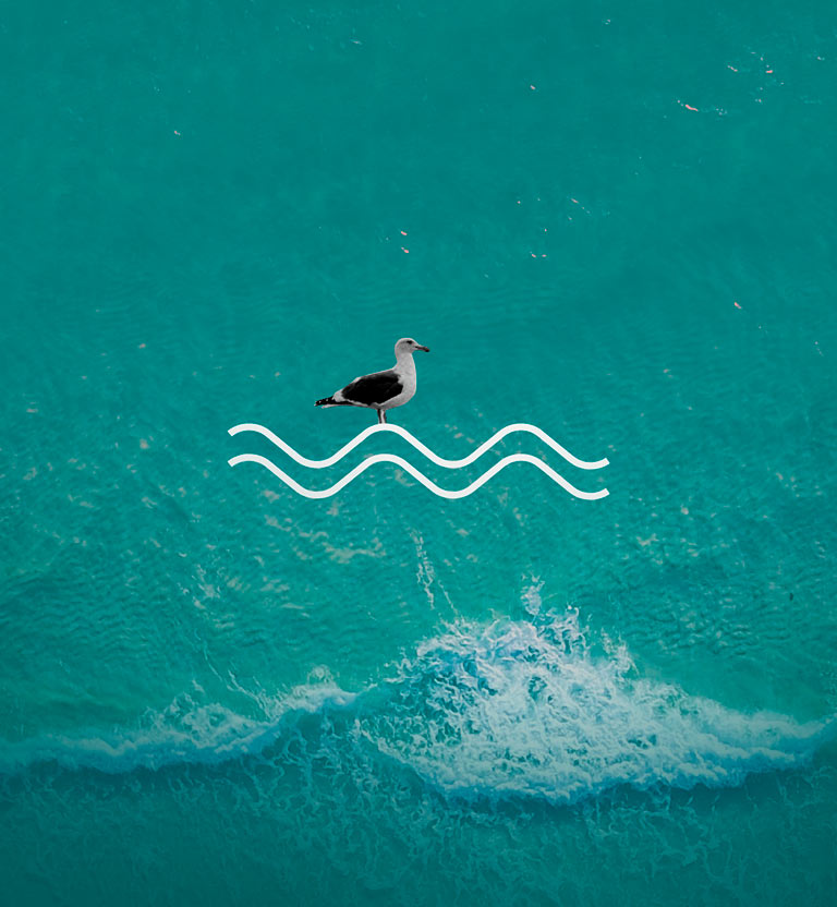 La historia detrás del libro Relato de un Náufrago del nobel Gabriel García Márquez