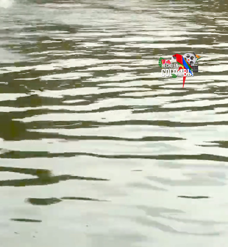 Una tumba a cielo abierto, documental colombiano dirigido por Oscar Campo Hurtado, disponible ahora en RTVCPlay