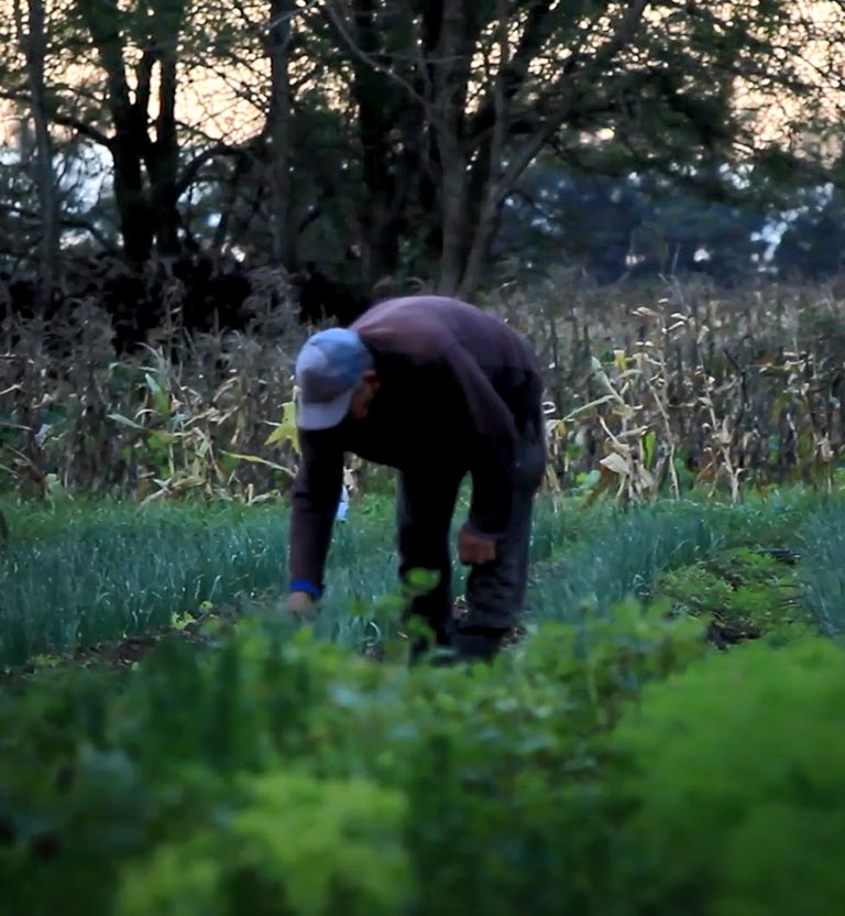 La vuelta al campo, documental argentino dirigido por Juan Pablo Lepore, disponible ahora en RTVCPlay