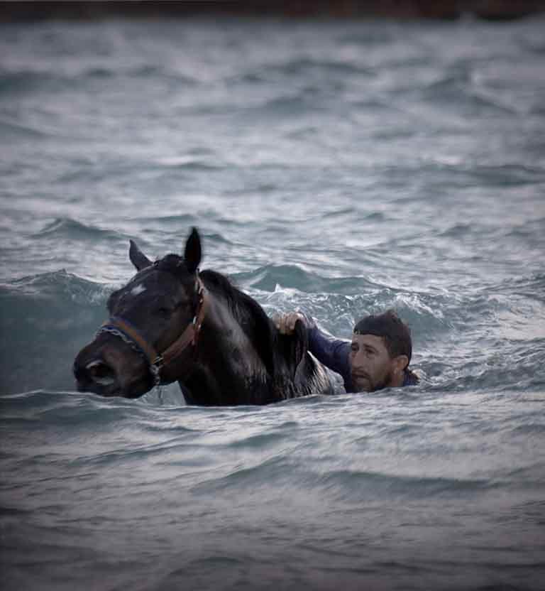Jinete y caballo metidos en el mar