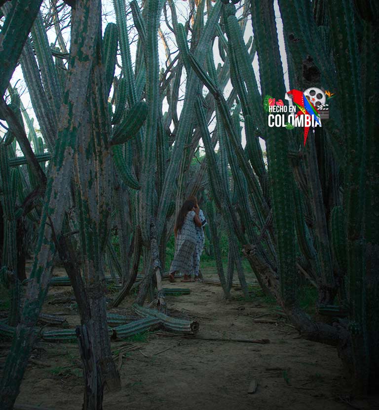 Lapü, documental colombiano dirigido por César Alejandro Jaimes y Juan Pablo Polanco, disponible ahora en RTVCPlay