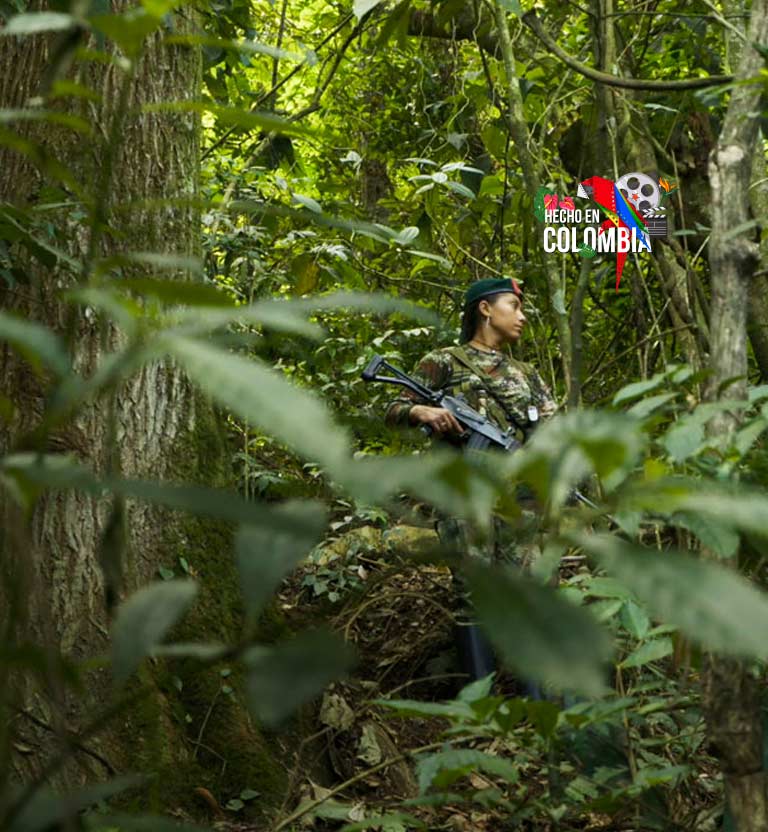 La paz, la película en donde la guerra no tiene bandos, solo muertos. Disponible ahora en la plataforma de streaming RTVCPlay