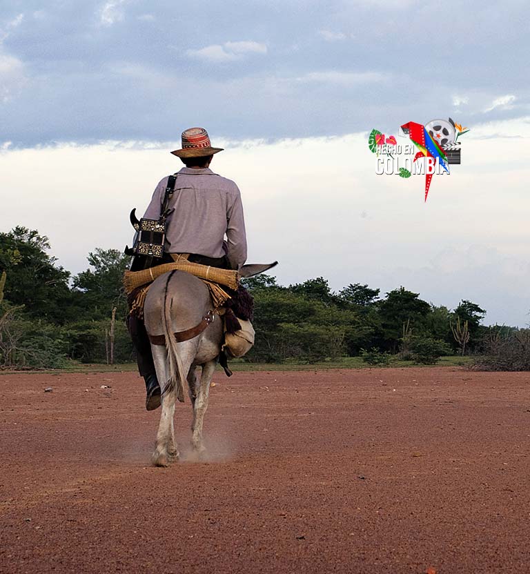 La película seleccionada por Colombia como candidata a los Premios Óscar en 2010, disponible ahora en la plataforma de streaming RTVCPlay