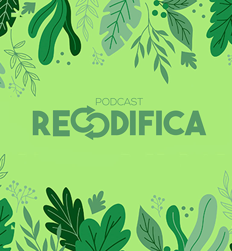 ¿Qué pasa con la deforestación en Colombia? Descúbrelo en Recodifica de Radiónica