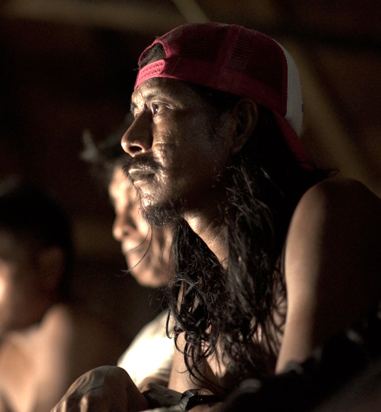 Respira Amazonia, especial multimedia de RTVC Sistema de Medios Públicos, disponible ahora en RTVCPlay