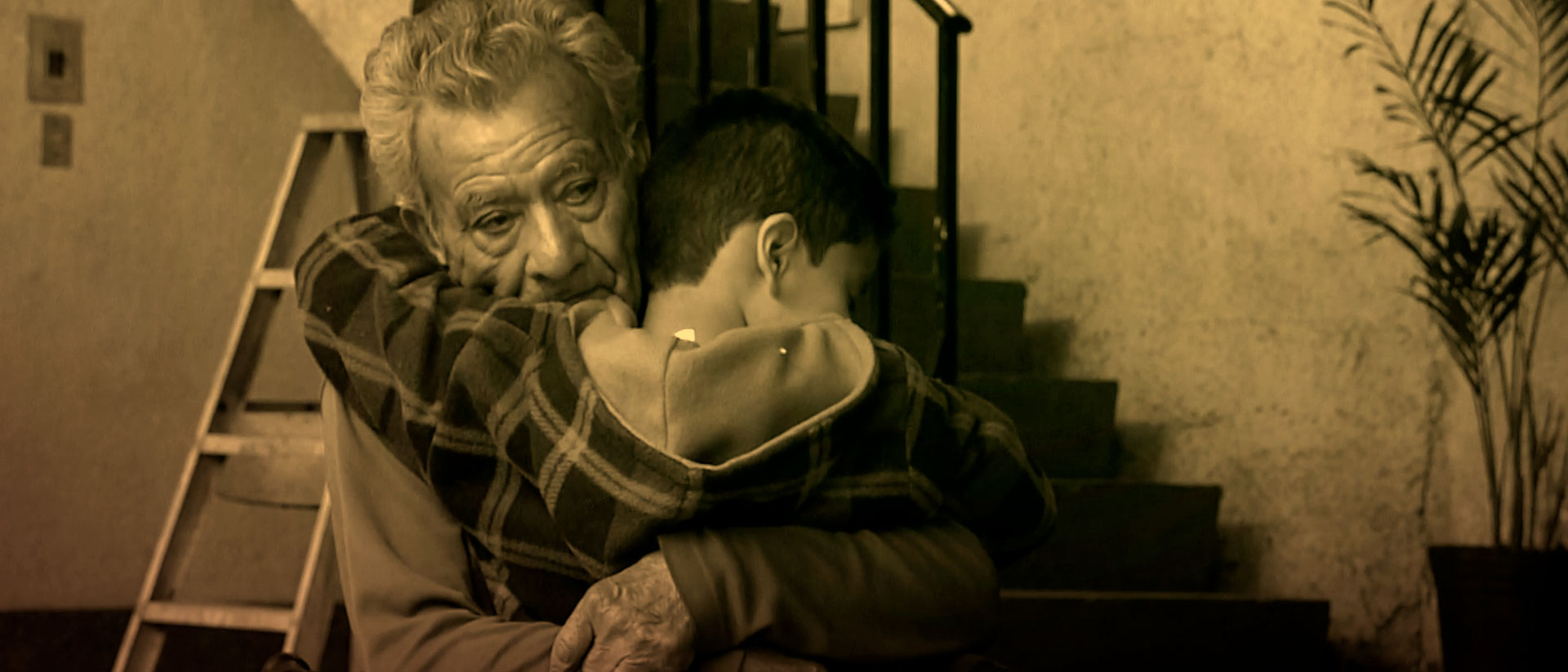 Mira ahora la serie infantil Abuelos en la plataforma de streaming RTVCPlay