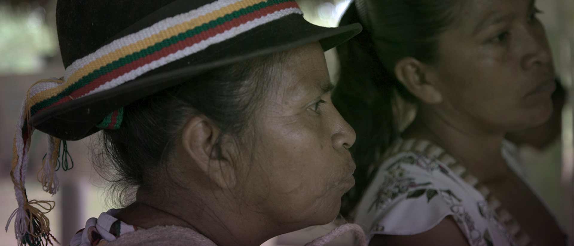 Mujeres indígenas - Camino de la medicina ancestral