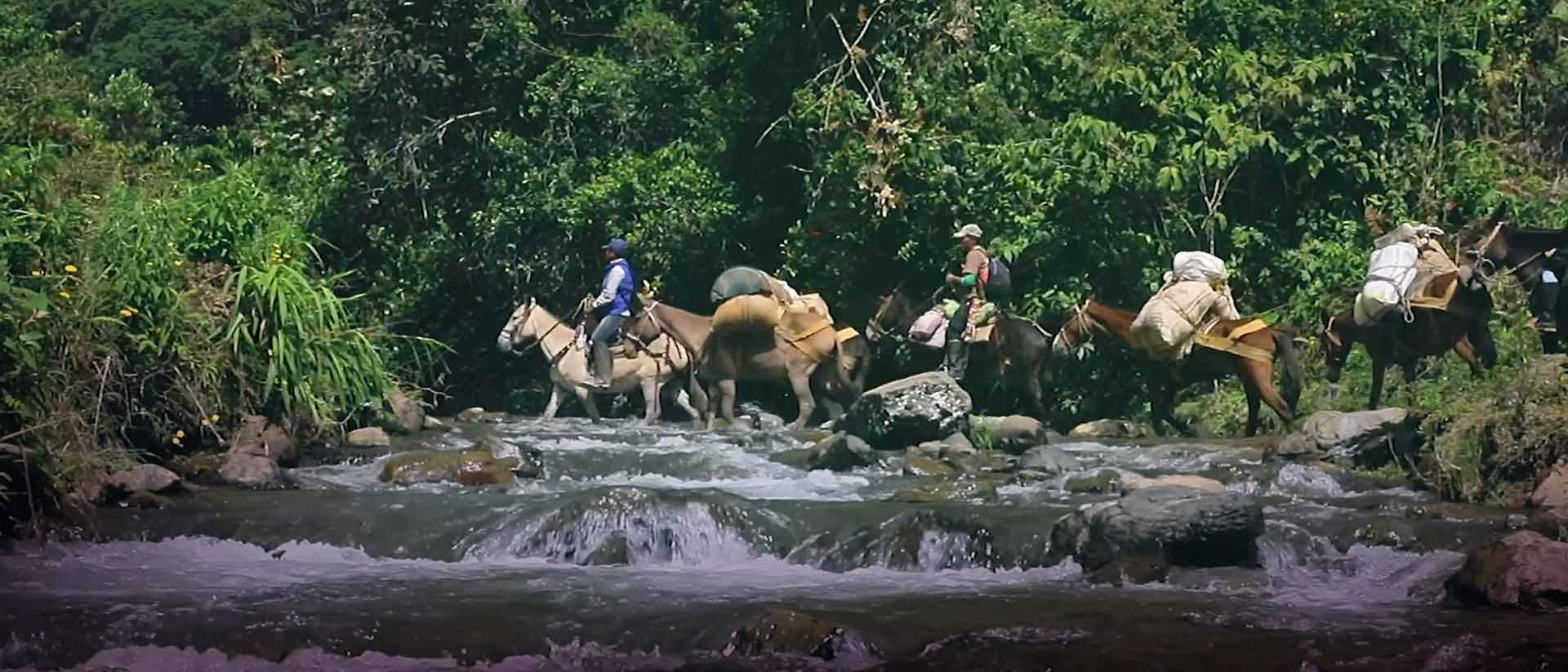 grupo de hombres cruzando el río a caballo