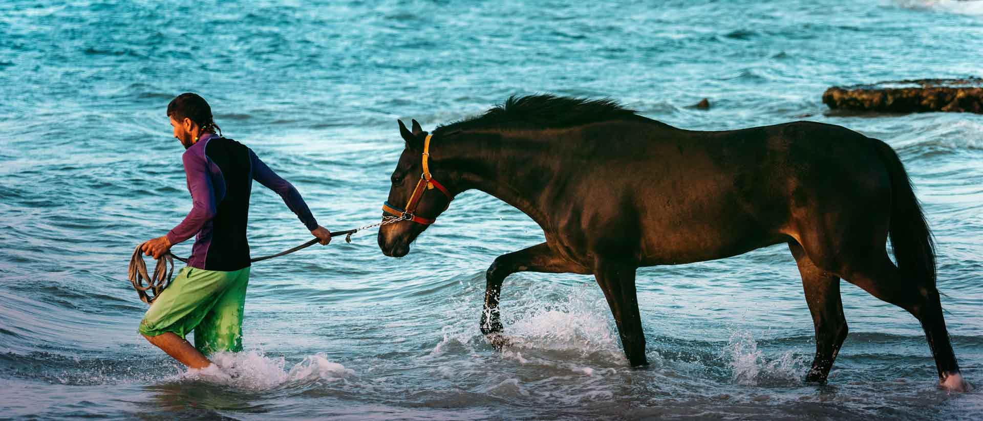 Hombre caminando a la orilla de la playa guía a un caballo por medio de una cuerda