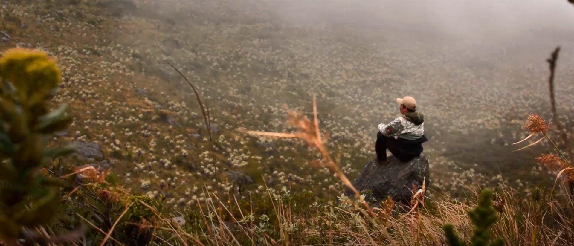 Mira ahora Espeletia BK, cortometraje documental disponible ahora en la plataforma de streaming de los colombianos: RTVCPlay