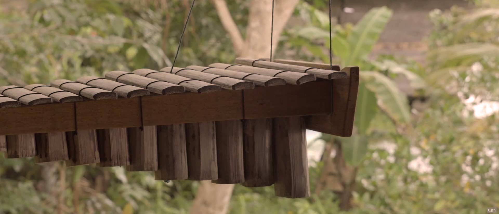 Una marimba - Expedición marimba