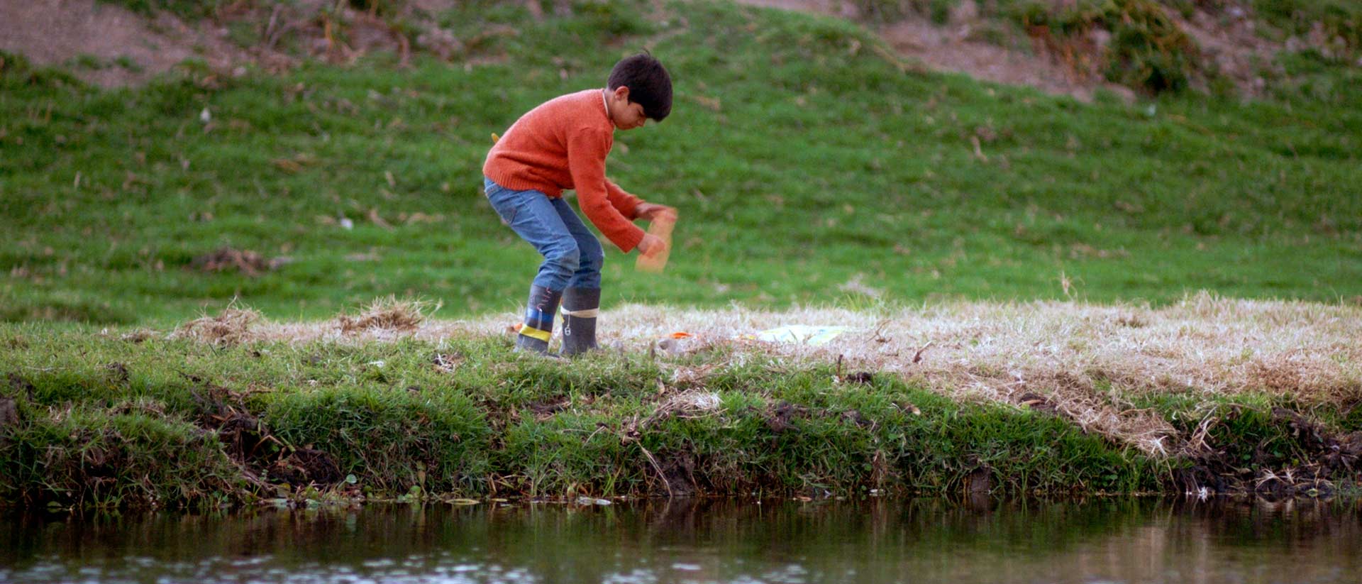 Mira ahora Golondrina, cortometraje infantil dirigido por Juan Manuel Betancourt, en la plataforma de streaming RTVCPlay