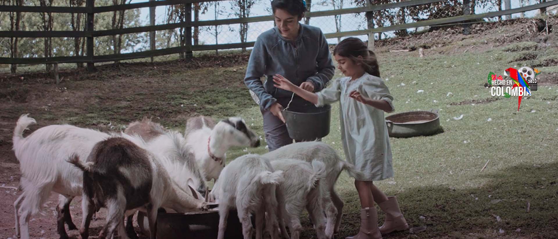 Mira ahora la película Mamá de Philippe Van Hisenhoven en la plataforma de streaming de los colombianos: RTVCPlay