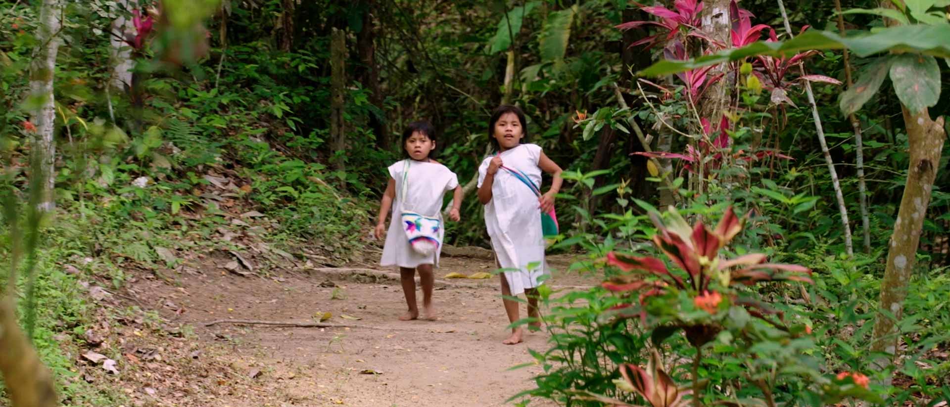 Los niños del agua, serie documental dirigida por Joy Penroz, disponible en la plataforma de streaming de todos los colombianos: RTVCPlay