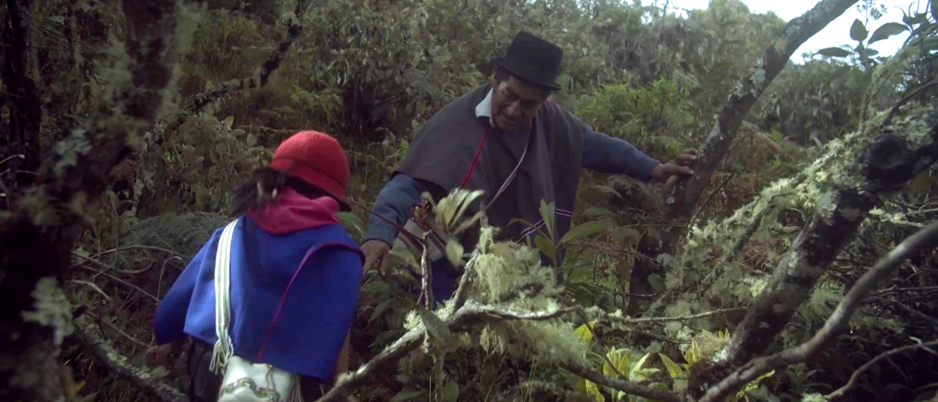 Documental de Señal Colombia Nu Isuik