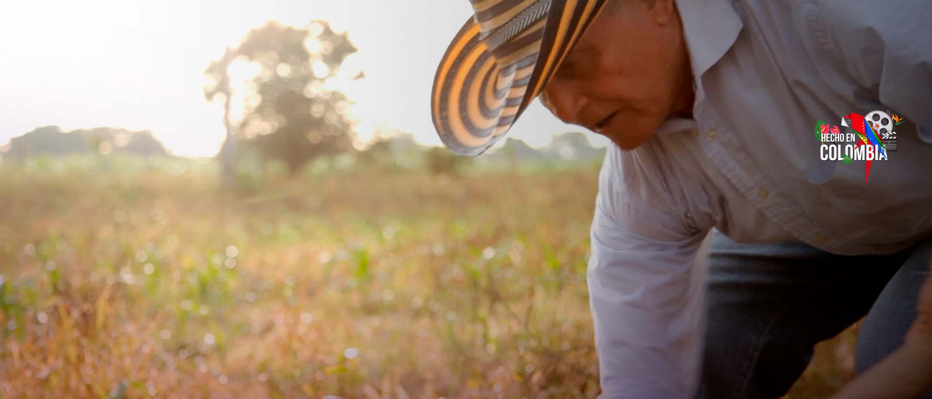 Mira ahora el documental Porro hecho en Colombia en la plataforma de streaming de los colombianos: RTVCPlay