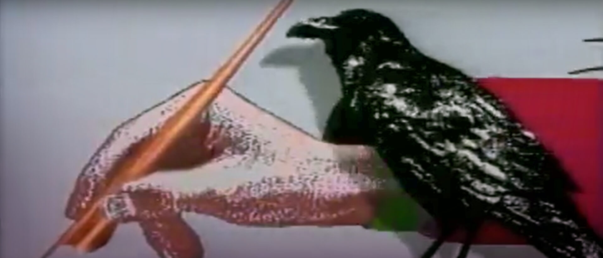 ¡Mira Palabra mayor por la plataforma de streaming RTVCPlay!