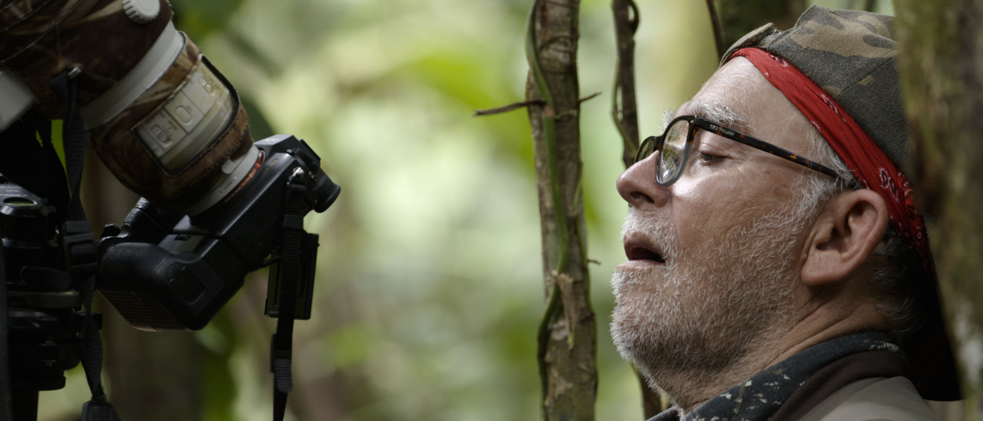 Mira ahora Renjifo, el documental colombiano en homenaje al biólogo Juan Manuel Renjifo, en la plataforma de streaming de los colombianos: RTVCPlay.
