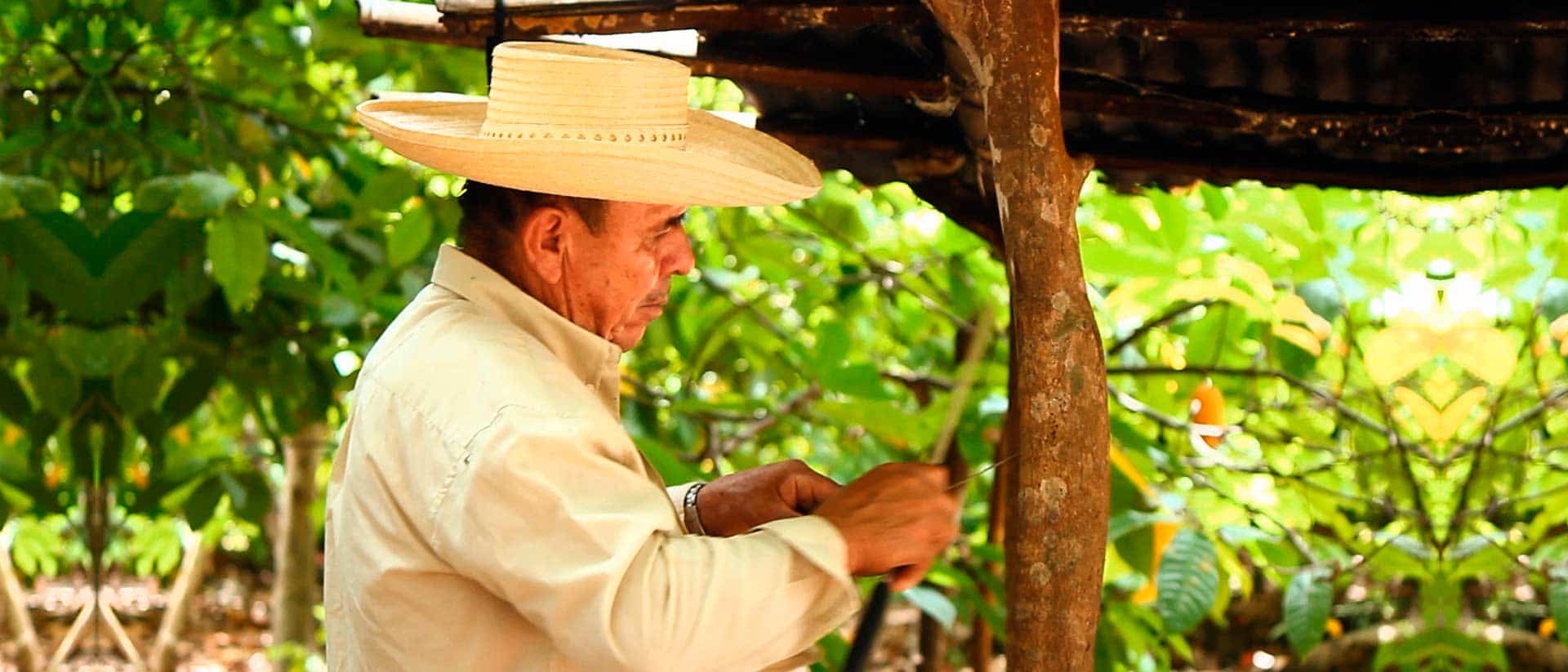 Póster de Relatos de tierra caliente