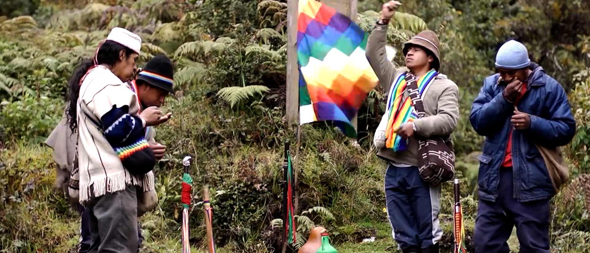 Mira ahora la serie colombiana Sur real en la plataforma de streaming RTVCPlay