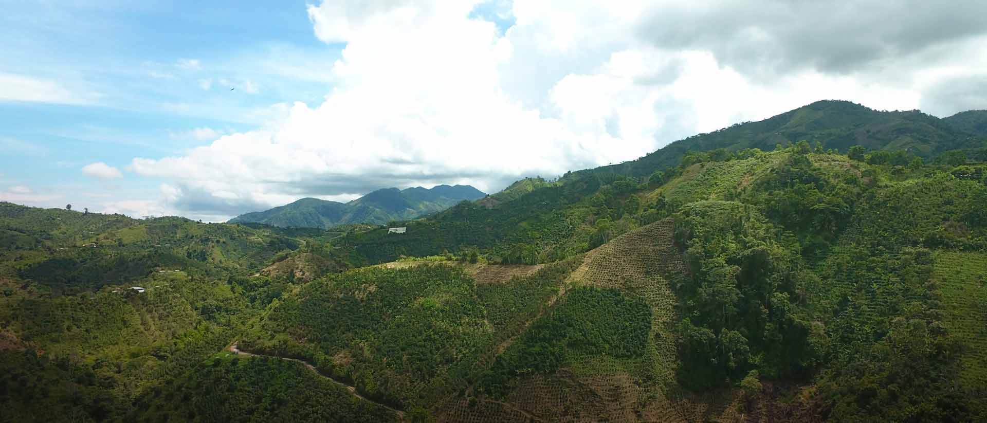 Fotografía de paisaje montañoso al fondo cielo azul