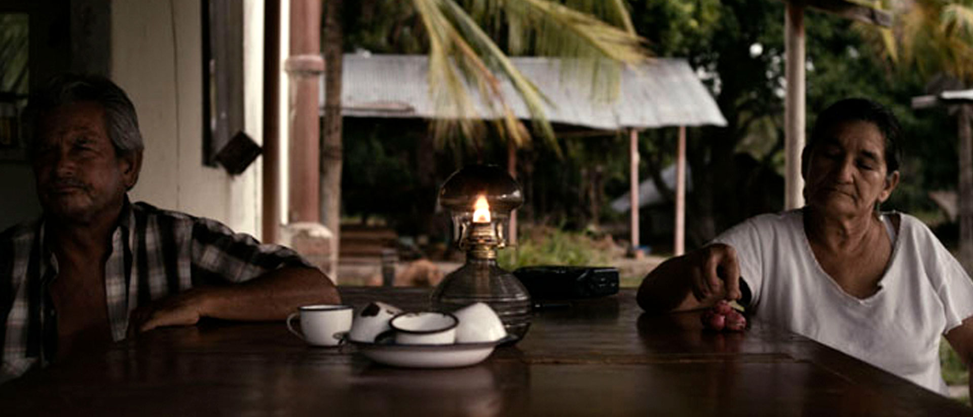 Mira ahora la película de ficción Tierra en la lengua en la plataforma de streaming de los colombianos: RTVCPlay