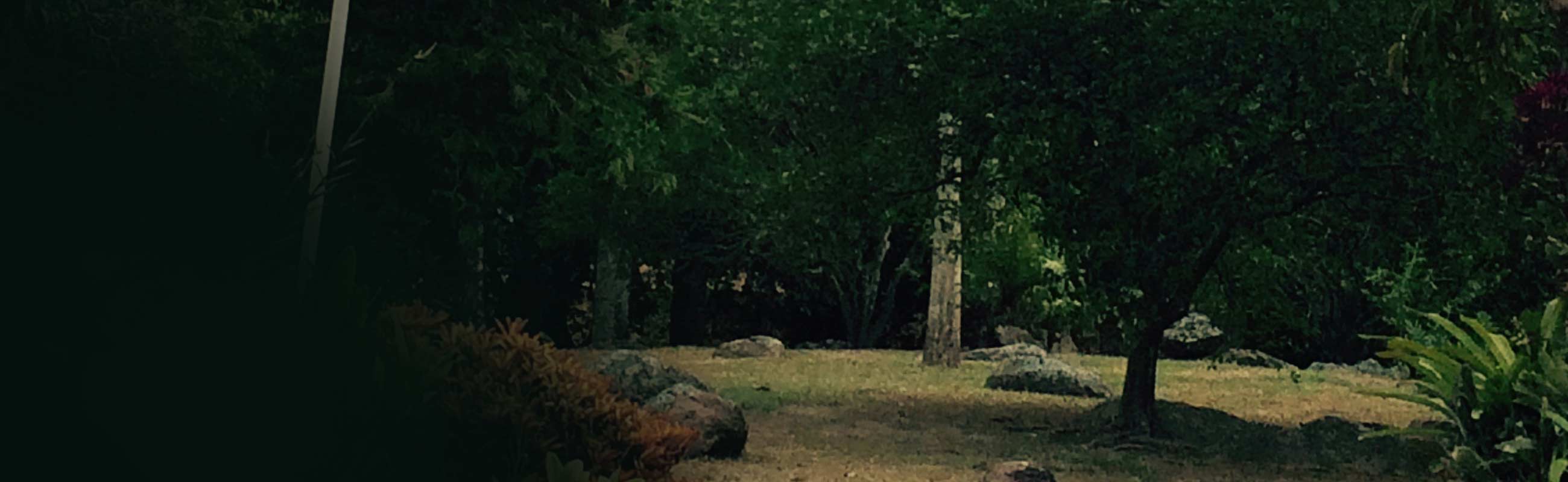 ¡Mira Amanecer, un viaje íntimo y revelador en busca de identidad y afectos perdidos por la plataforma de streaming RTVCPlay!