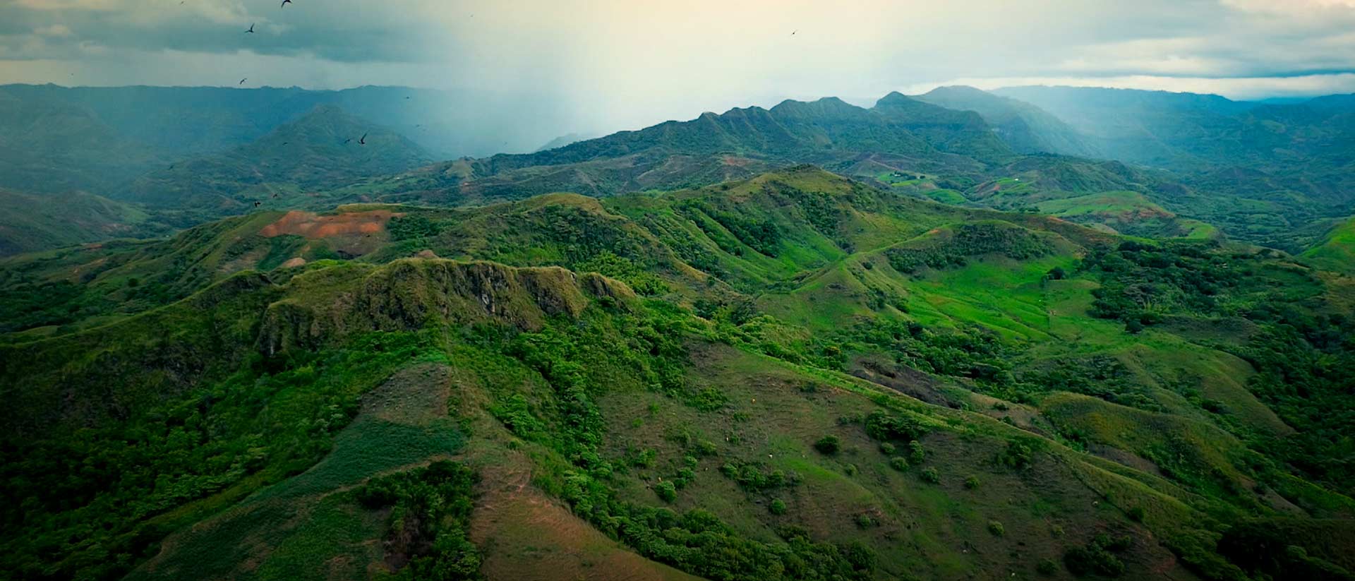 Mira ahora el documental colombiano Arraigo en la plataforma de streaming RTVCPlay