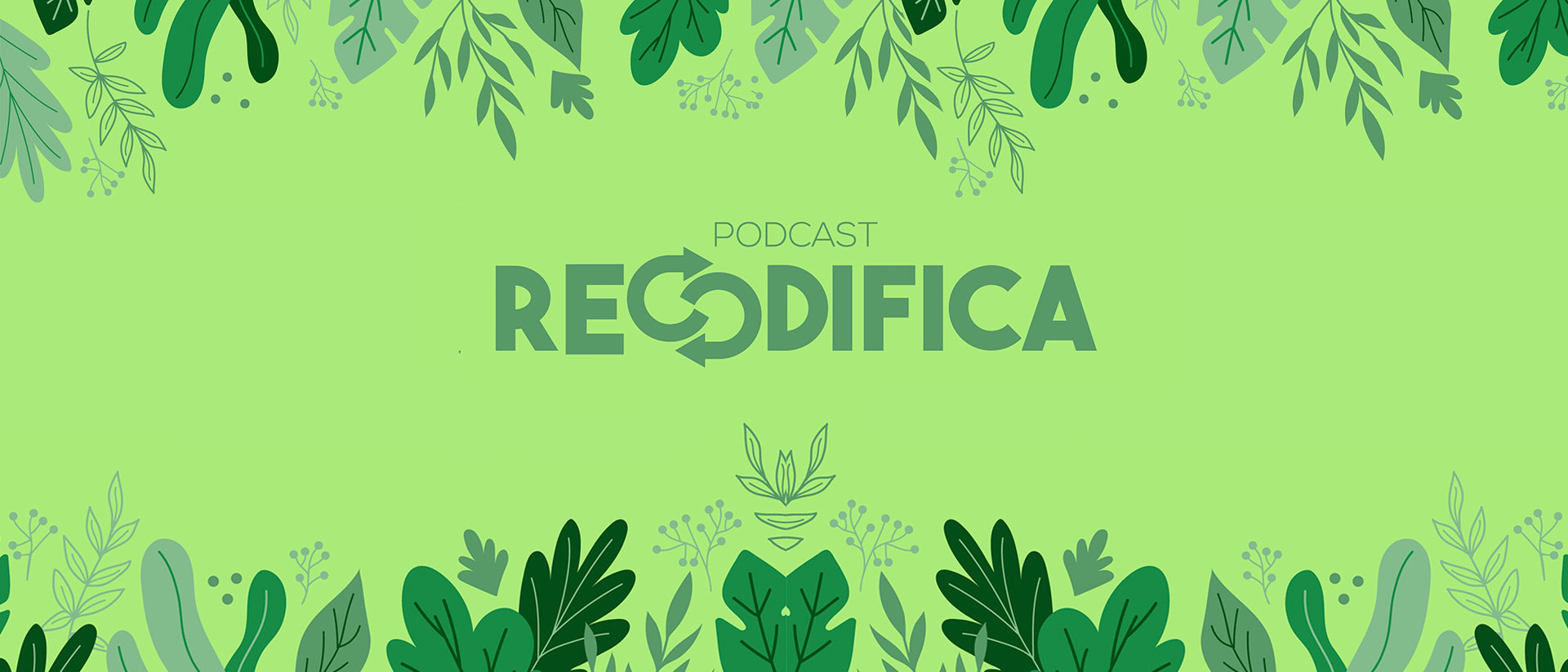 Entiende el impacto de la deforestación en Colombia escuchando Recodifica, un podcast de Radiónica
