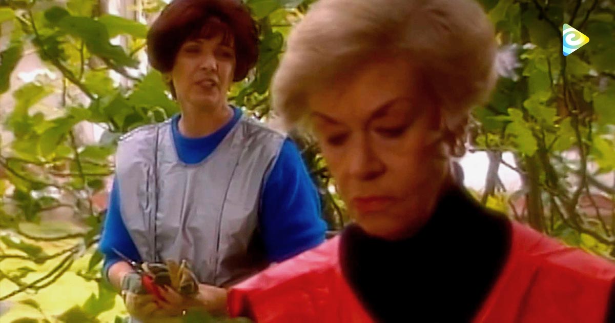 Señora Isabel Novela Colombiana Capítulo 4 Rtvcplay