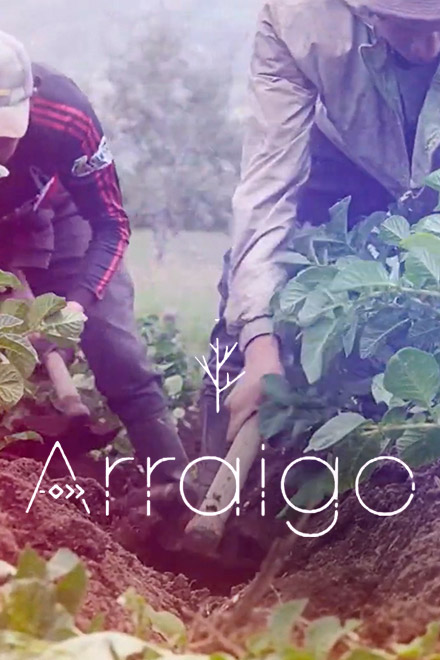 Póster Arraigo, documental colombiano disponible en RTVCPlay