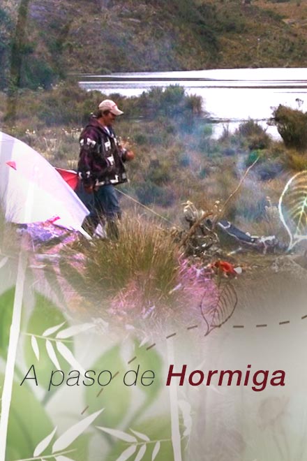 Póster de A paso de Hormiga